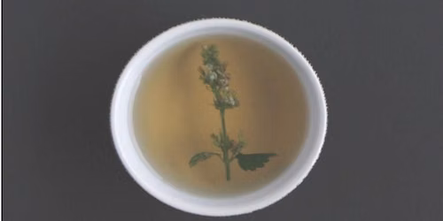 Honey+ Tea w\/Bee- a Sound Bath Experience