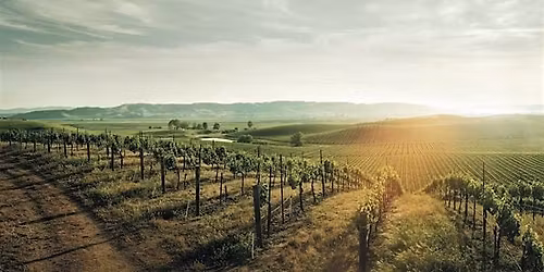 CAPSTONE California: Revisiting Classic Regions - Edmonton