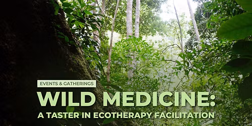 Wild Medicine: A Taster in Ecotherapy Facilitation