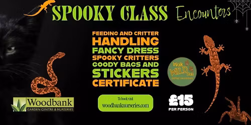 Halloween October 31st Spooky Class Encounter Of The Bug & Critter Kind