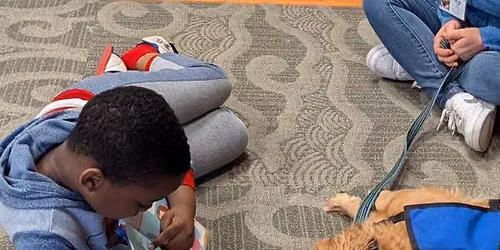 Paws to Read