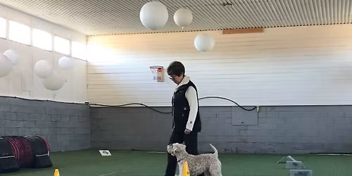 Vester\u00e5len og Omegn Hundeklubb : RALLY Intro \ud83d\udc15