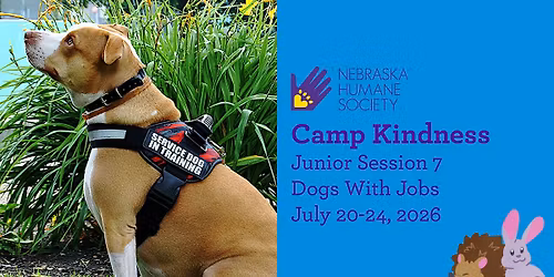 Camp Kindness Junior Session 7: Dogs With Jobs