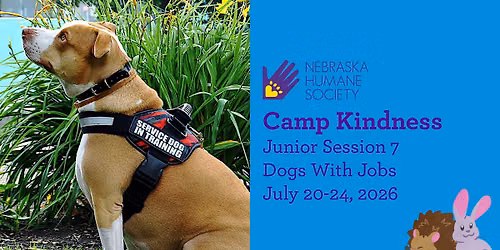SOLD OUT - Camp Kindness Junior Session 7: Dogs With Jobs