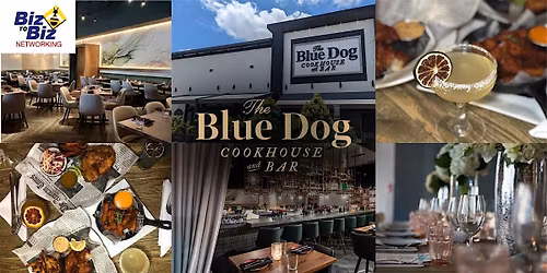 Biz To Biz Networking at The Blue  Dog Cookhouse and Bar Boca Raton