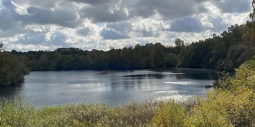 Midsummer at Sparham Pools - a free guided walk.