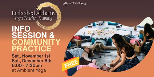 Embodied Alchemy Yoga Teacher Training Info Session & Short Practice *FREE*
