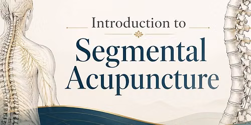 Intro to Segmental Acupuncture
