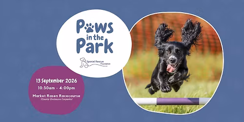 Paws in the Park by Spaniel Rescue Foundation