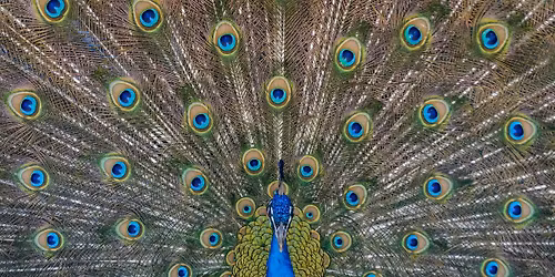 D\u00e9jeuner d\u00e9couverte - Le casse-t\u00eate des relations humaines (DISC)