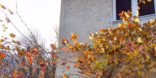 Hauksson + Grugg & Makk, smakk og kynning \u00e1 Hilton 