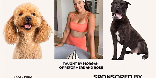 PAWS + PLANKS: A Pilates Event to Benefit The Mercy Full Project