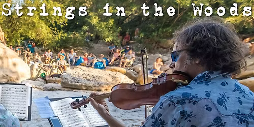 Saturday Strings in the Woods w Award Winning Austin Violinist Will Taylor