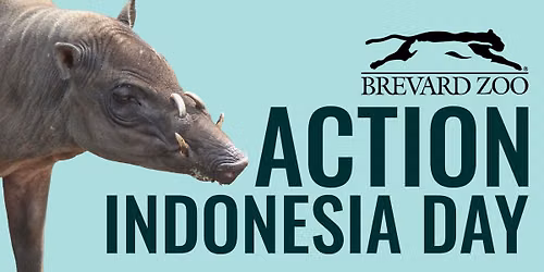 Action Indonesia Day