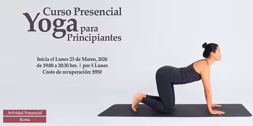 Curso de Yoga para Principiantes (por 5 Lunes)