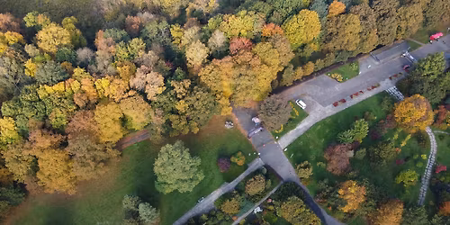 Botaniczna Pi\u0105tka \u0141\u00f3d\u017a - edycja jesienna