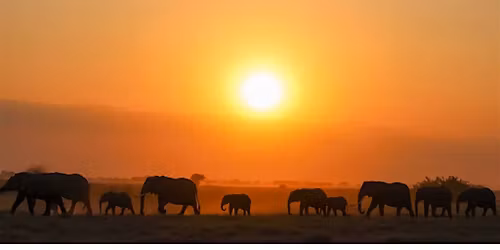 Henry's St. Catharines - Wildlife Photography Workshop