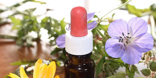 Journ\u00e9e Formation Nutrition