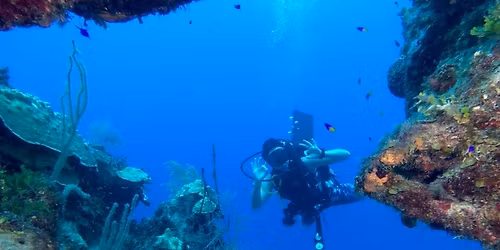 Openwater Certification Class