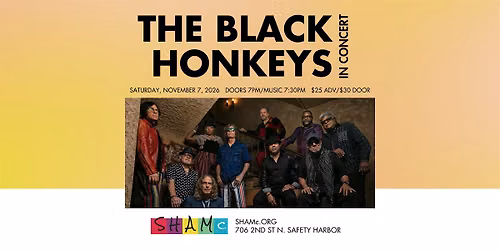 The Black Honkeys In Concert