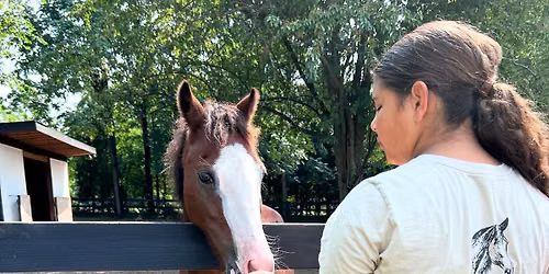 Magnolia Summer Evening Experience 2026: A Heart for Animals & Rescue