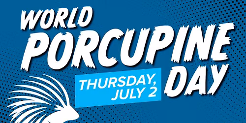 World Porcupine Day