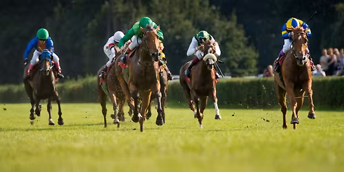 Kentucky Derby Celebration