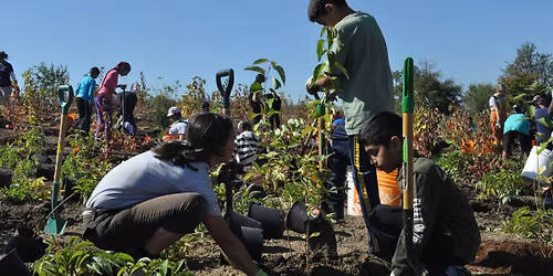 Brampton Community Tree Planting at Sesquicentennial Park
