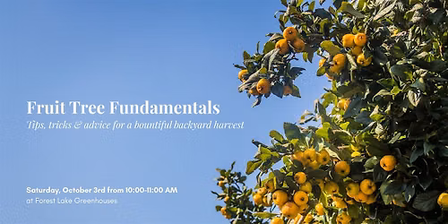 Fruit Tree Fundamentals