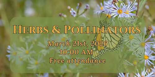 Herbs & Pollinators 
