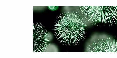 The Biology of Time: From Embryos to Aging Cells