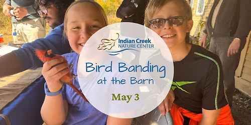 Bird Banding