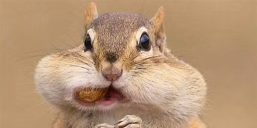 NJ Audubon: Winter Wonder Walk at Hawk Rise Sanctuary