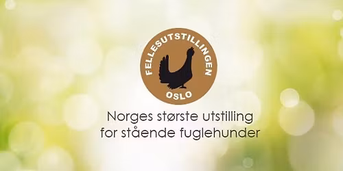 Fuglehundklubbenes Fellesutstilling p\u00e5 Finstadbru