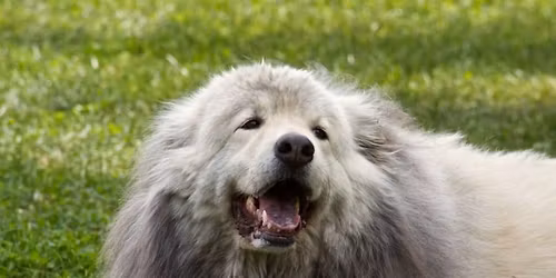 Easter Begg Hunt and Hike