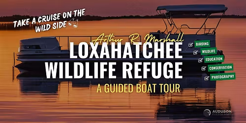 Morning Cruise at the Loxahatchee National Wildlife Refuge