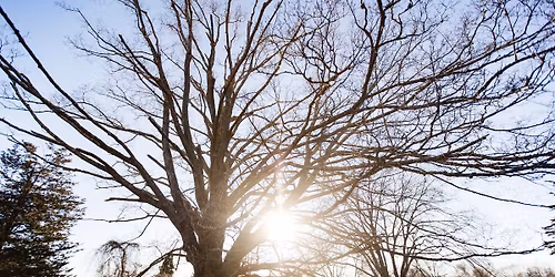 Coogan Farm Guided Hike
