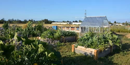 Regenerative Home Gardener Class #3