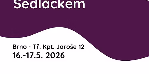 Konstelace s Petrem Sedl\u00e1\u010dkem