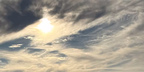 Free weekly 5-mile group run and 2.5-mile walk