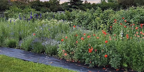 Lillie\u2019s Garden Summer at the barn