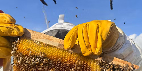 Beekeeping 101