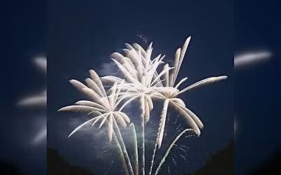 Live Concert Performance Starring Jaslyn Souls