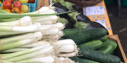 Summer Market