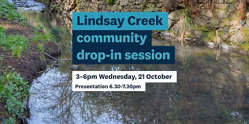 Lindsay Creek Community drop-in session