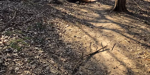 2nd Saturday Work Session - Halff Park Trail Maintenance