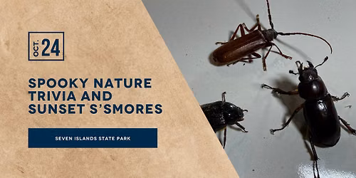 Spooky Nature Trivia and Sunset S'mores