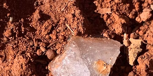 Wild Diamond Vineyards-Diamond Hunt