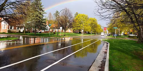 Annual NPNA Yard Sale