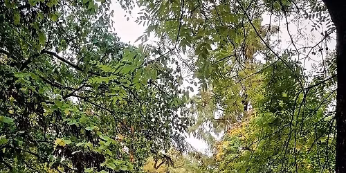 Balade cont\u00e9e au Jardin Public de Bordeaux